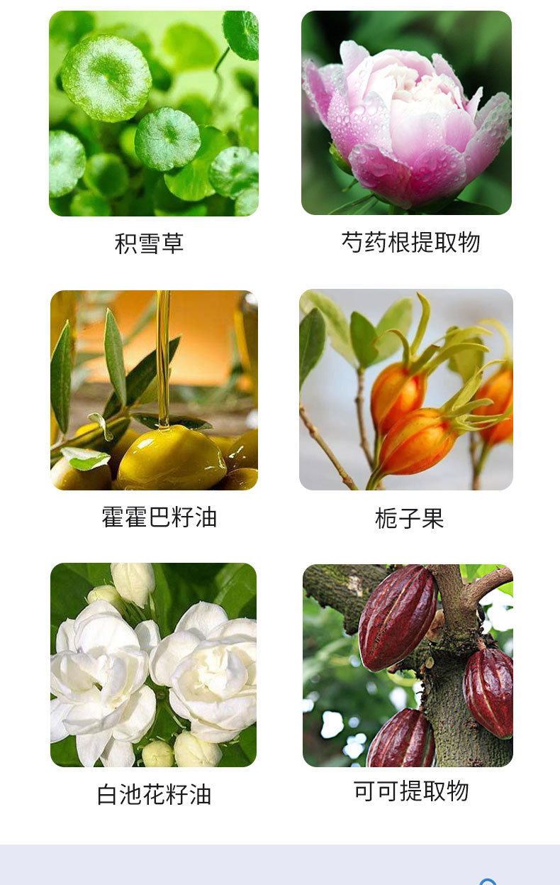 菁纯酵母5件套详图_06.jpg